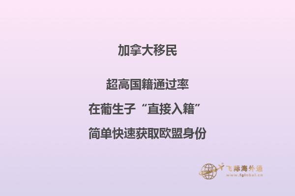 加拿大大西洋四省申請條件，你符合以下條件嗎？