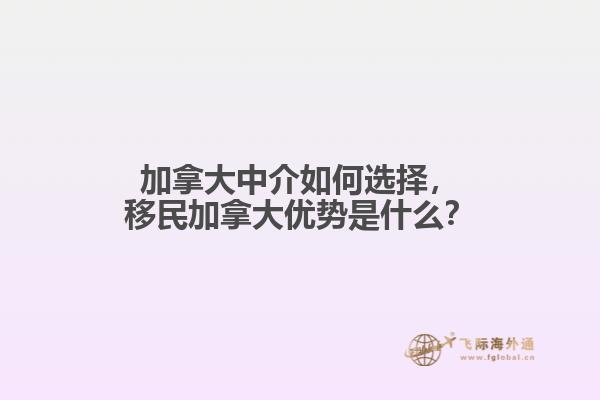 加拿大中介如何選擇，移民加拿大優(yōu)勢(shì)是什么？