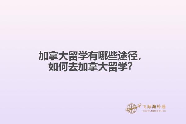 加拿大留學(xué)有哪些途徑，如何去加拿大留學(xué)？