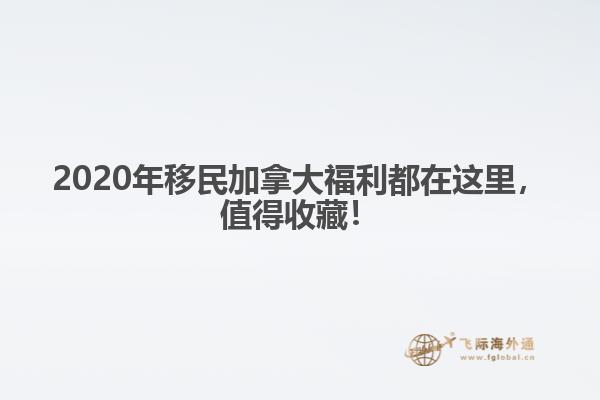 2020年移民加拿大福利都在這里，值得收藏！