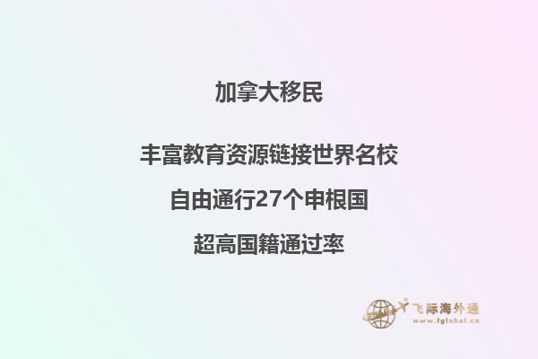 樹(shù)葉高樓
