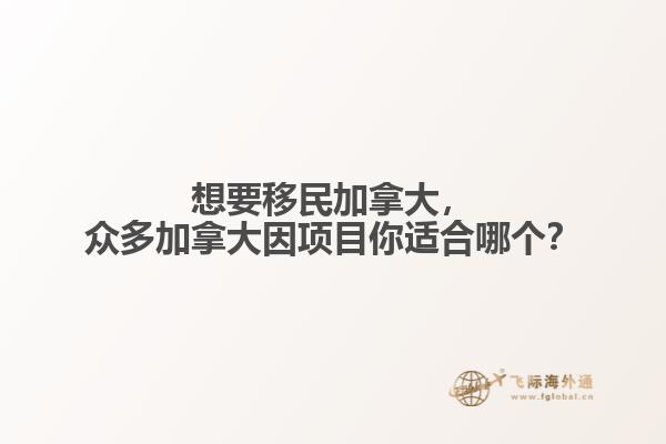 想要移民加拿大，眾多加拿大因項(xiàng)目你適合哪個(gè)？