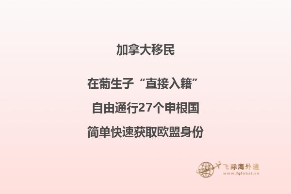 加拿大簽證有效期內可以多次往返嗎