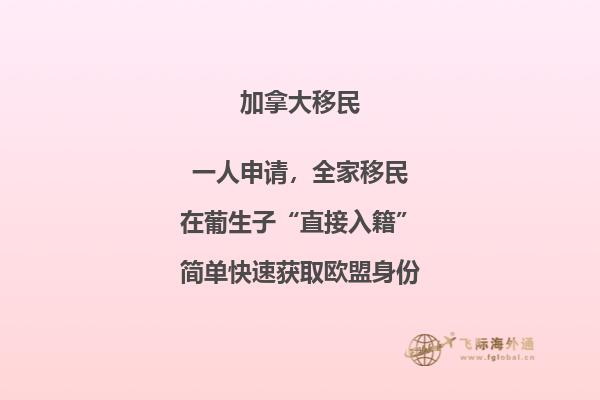 加拿大留學(xué)簽證如何辦理流程小紅書(shū)