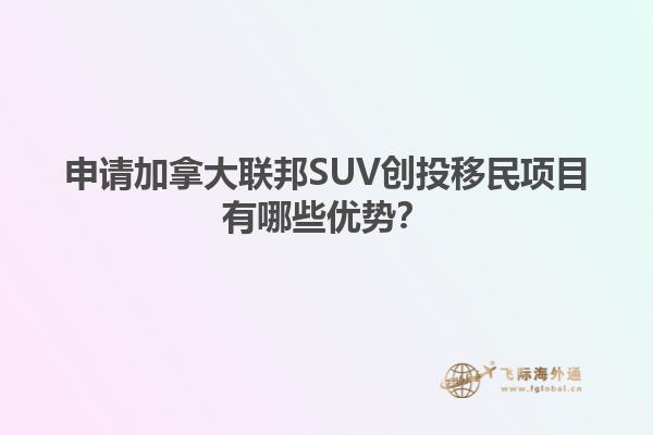 申請加拿大聯(lián)邦SUV創(chuàng)投移民項目有哪些優(yōu)勢？