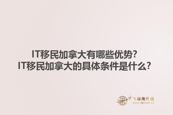 IT移民加拿大有哪些優(yōu)勢？IT移民加拿大的具體條件是什么？