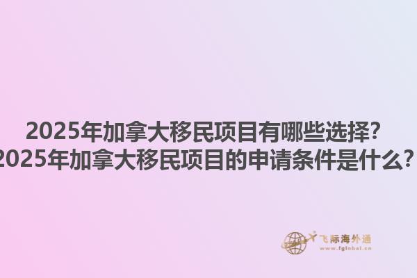 2025年加拿大移民項目有哪些選擇？2025年加拿大移民項目的申請條件是什么？
