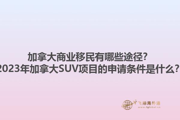 加拿大商業(yè)移民有哪些途徑？2023年加拿大SUV項(xiàng)目的申請條件是什么？