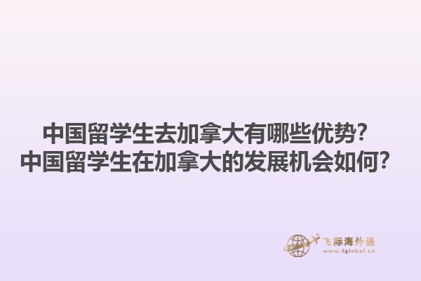 中國留學(xué)生去加拿大有哪些優(yōu)勢？中國留學(xué)生在加拿大的發(fā)展機(jī)會如何？