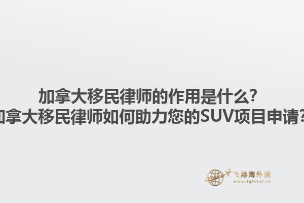 加拿大移民律師的作用是什么？加拿大移民律師如何助力您的SUV項(xiàng)目申請？