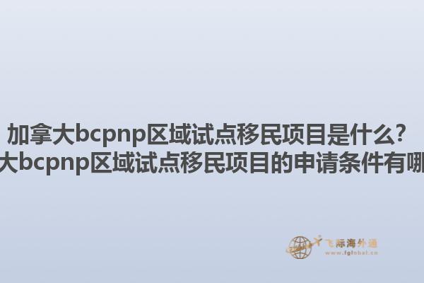 加拿大bcpnp區(qū)域試點移民項目是什么？加拿大bcpnp區(qū)域試點移民項目的申請條件有哪些？