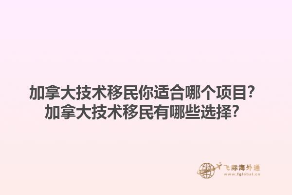 加拿大技術(shù)移民你適合哪個項(xiàng)目？加拿大技術(shù)移民有哪些選擇？1.jpg