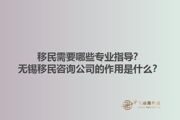 移民需要哪些專業(yè)指導(dǎo)？無錫移民咨詢公司的作用是什么？1.jpg