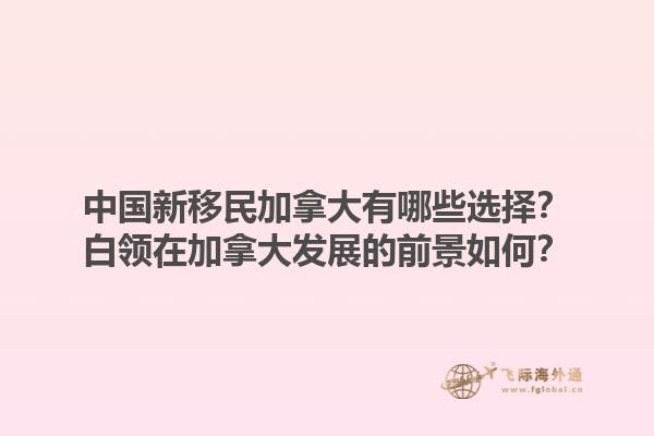 中國新移民加拿大有哪些選擇？白領(lǐng)在加拿大發(fā)展的前景如何？1.jpg