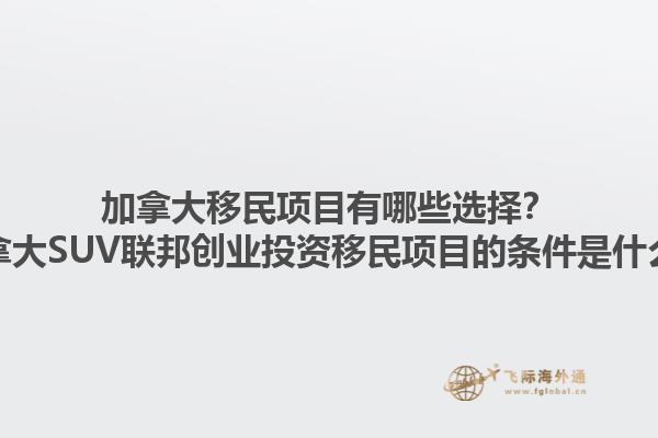 加拿大移民項(xiàng)目有哪些選擇？加拿大SUV聯(lián)邦創(chuàng)業(yè)投資移民項(xiàng)目的條件是什么？