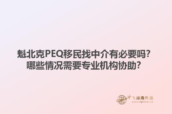 魁北克PEQ移民找中介有必要嗎？哪些情況需要專業(yè)機(jī)構(gòu)協(xié)助？