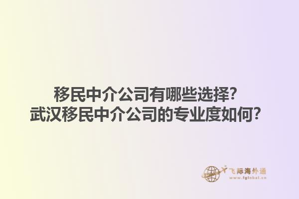 移民中介公司有哪些選擇？武漢移民中介公司的專業(yè)度如何？1.jpg