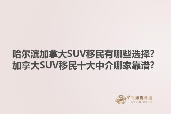 哈爾濱加拿大SUV移民有哪些選擇？加拿大SUV移民十大中介哪家靠譜？