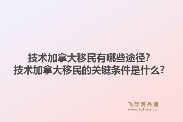 技術(shù)加拿大移民有哪些途徑？技術(shù)加拿大移民的關(guān)鍵條件是什么？