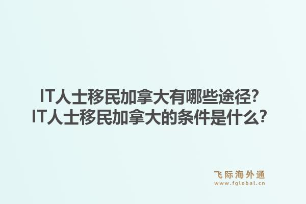 IT人士移民加拿大有哪些途徑？IT人士移民加拿大的條件是什么？1.jpg
