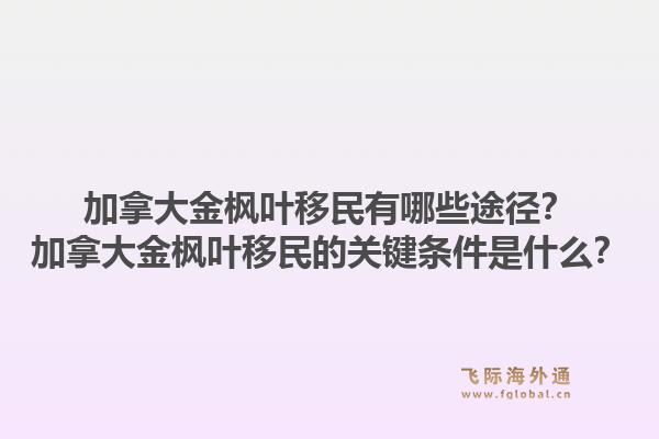 加拿大金楓葉移民有哪些途徑？加拿大金楓葉移民的關(guān)鍵條件是什么？1.jpg