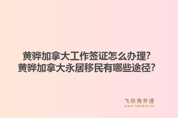 黃驊加拿大工作簽證怎么辦理？黃驊加拿大永居移民有哪些途徑？1.jpg