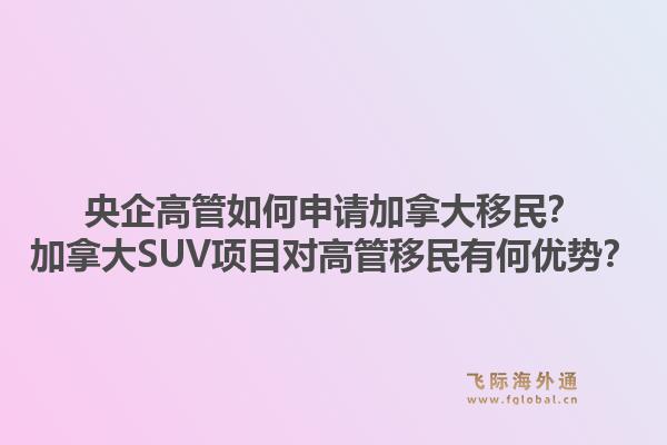 央企高管如何申請加拿大移民？加拿大SUV項目對高管移民有何優(yōu)勢？1.jpg