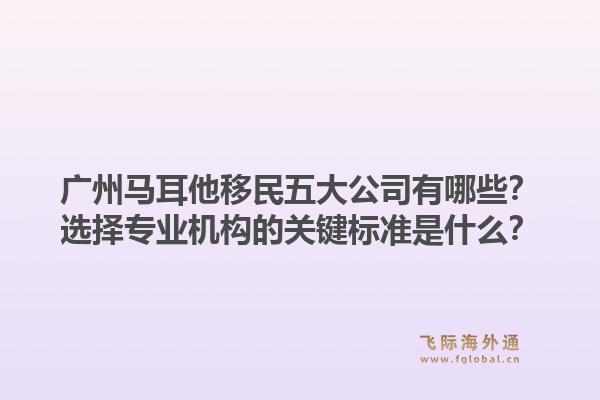 廣州馬耳他移民五大公司有哪些？選擇專業(yè)機(jī)構(gòu)的關(guān)鍵標(biāo)準(zhǔn)是什么？1.jpg