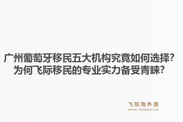 廣州葡萄牙移民五大機構(gòu)究竟如何選擇？為何飛際移民的專業(yè)實力備受青睞？1.jpg