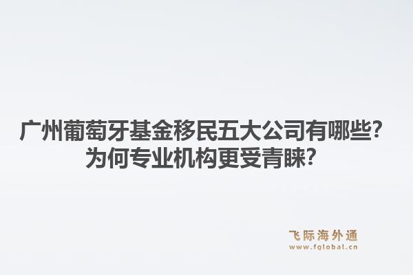 廣州葡萄牙基金移民五大公司有哪些？為何專業(yè)機(jī)構(gòu)更受青睞？1.jpg