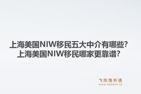 上海美國NIW移民五大中介有哪些？上海美國NIW移民哪家更靠譜？1.jpg
