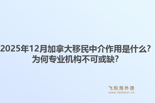 2025年12月加拿大移民中介作用是什么？為何專業(yè)機構(gòu)不可或缺？1.jpg