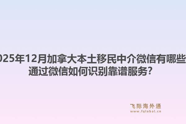 2025年12月加拿大本土移民中介微信有哪些？通過微信如何識別靠譜服務(wù)？1.jpg