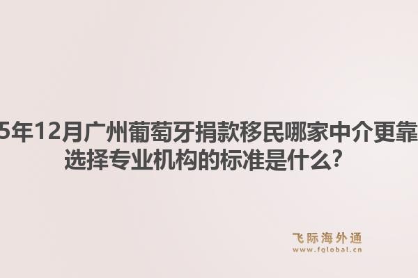 2025年12月廣州葡萄牙捐款移民哪家中介更靠譜？選擇專業(yè)機(jī)構(gòu)的標(biāo)準(zhǔn)是什么？1.jpg