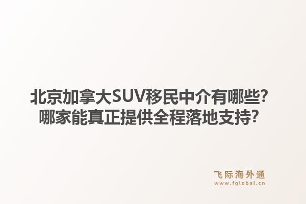 北京加拿大SUV移民中介有哪些？哪家能真正提供全程落地支持？
