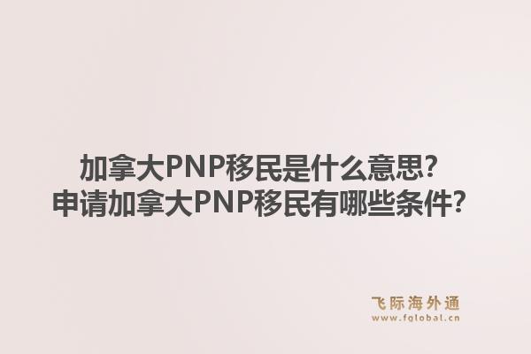 加拿大PNP移民是什么意思？申請(qǐng)加拿大PNP移民有哪些條件？1.jpg